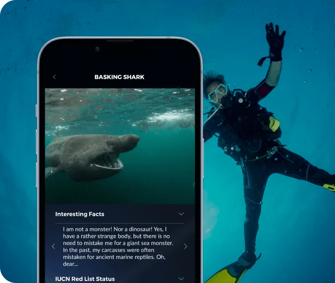 Scuba: The Best Diving App